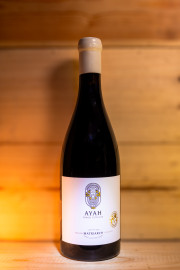 Ayah Family Collection Café Blend Matriarch Bush Vine 2017
