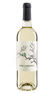 Labrada Macabeo